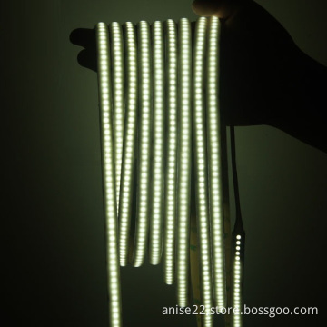 5m reel 24V 3528 SMD 240 LEDs per meter LED strip ribbon lights, single row